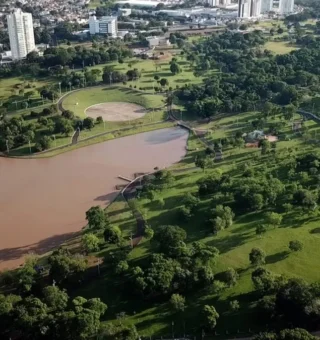 Cidades com ampla arborização urbana são luz no fim do túnel em meio a variações climáticas