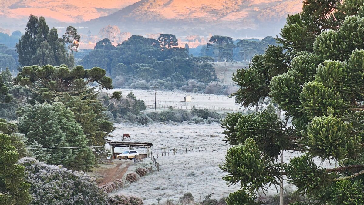 Clima histórico em Santa Catarina reúne frio extremo, chuva e ciclone