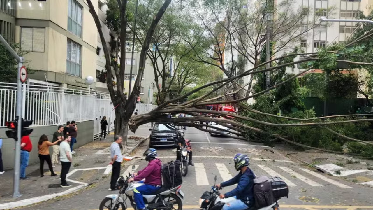 Ventos fortes em SP: Alerta da Defesa Civil para várias regiões. Imagem: Portal InMagazine