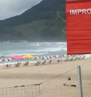 Imagem de uma das praias impróprias em São Paulo