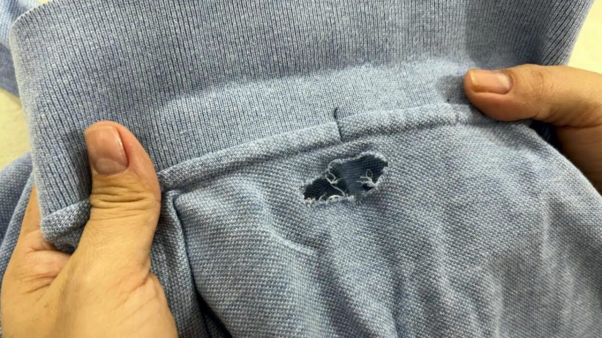 Novo surto: insetos que comem suas roupas, alimentos e até objetos