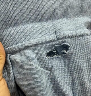 Novo surto: insetos que comem suas roupas, alimentos e até objetos