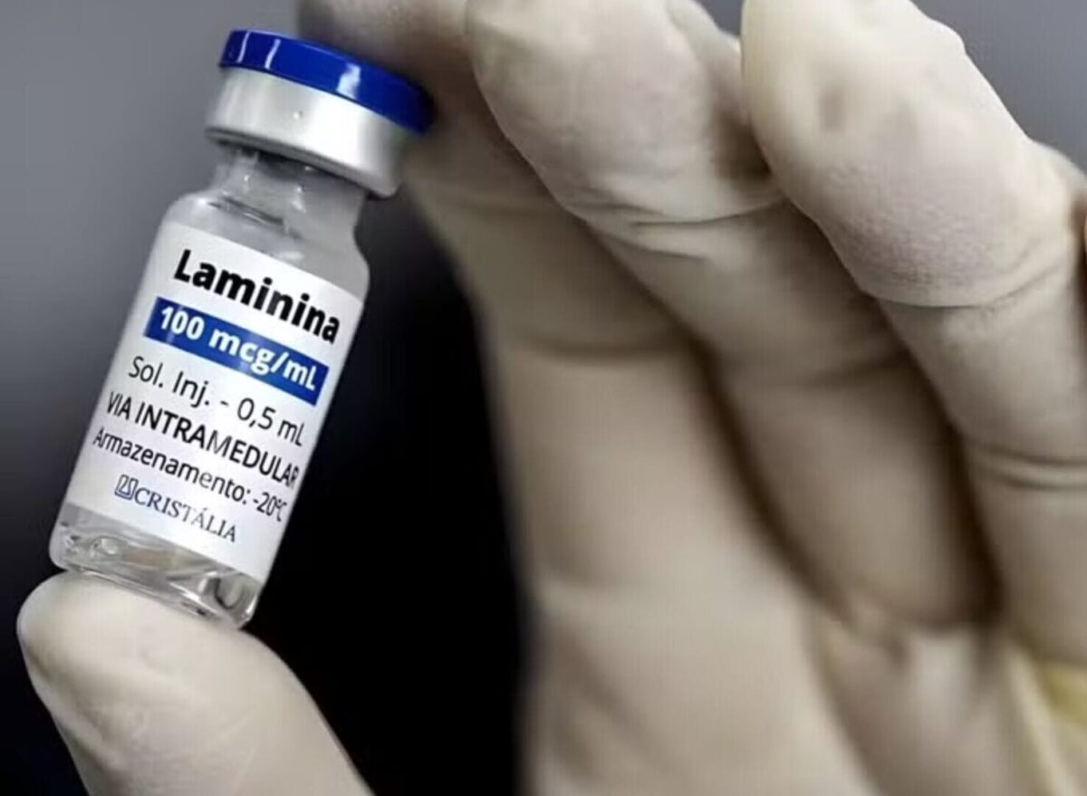 Polilaminina em 2026: Entenda o mecanismo que pode acabar com a incapacidade
