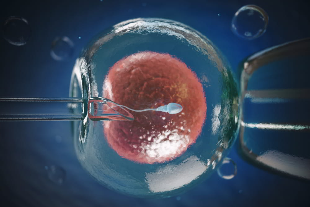 fertilização in vitro