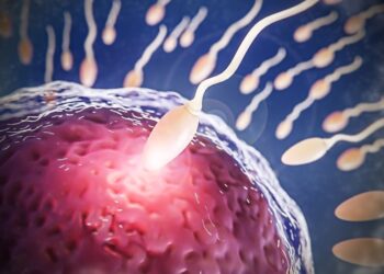 Adeus camisinha? Cientistas criam anticoncepcional masculino que bloqueia espermatozoides — e é reversível