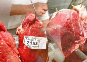 Carne