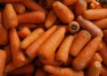 Cenoura sobe 26,63%, leite 13,66% e inflação dos alimentos pesa no bolso