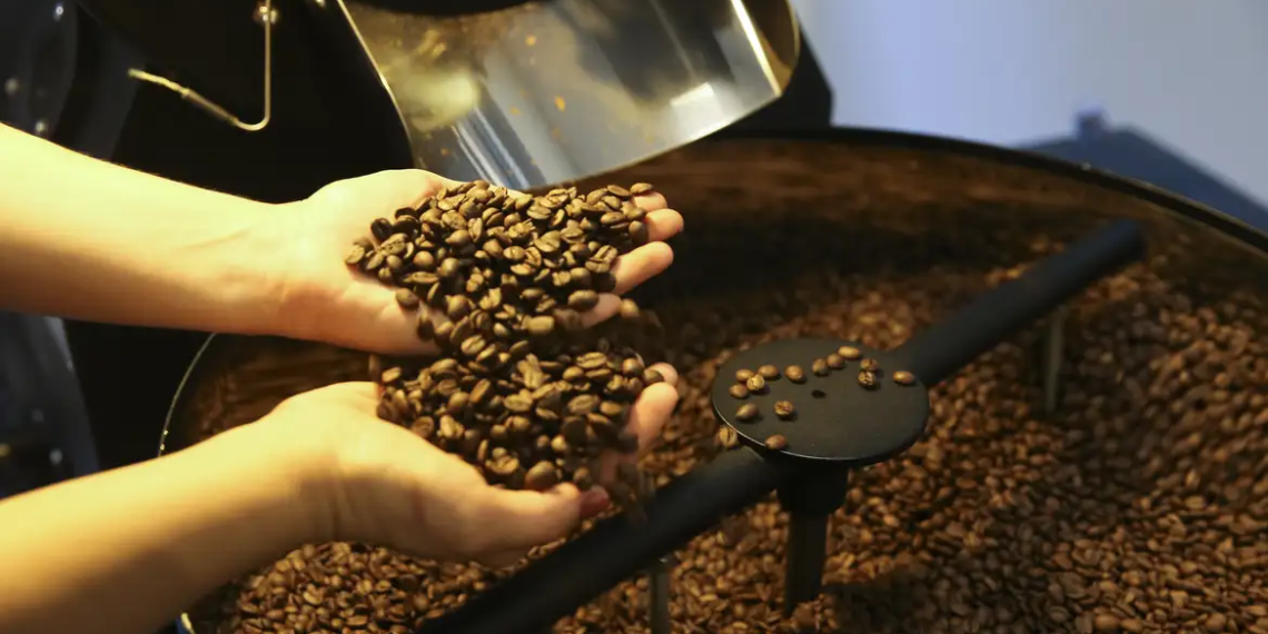 Salário de colhedor de café surpreende e pode chegar a R$ 20 mil
