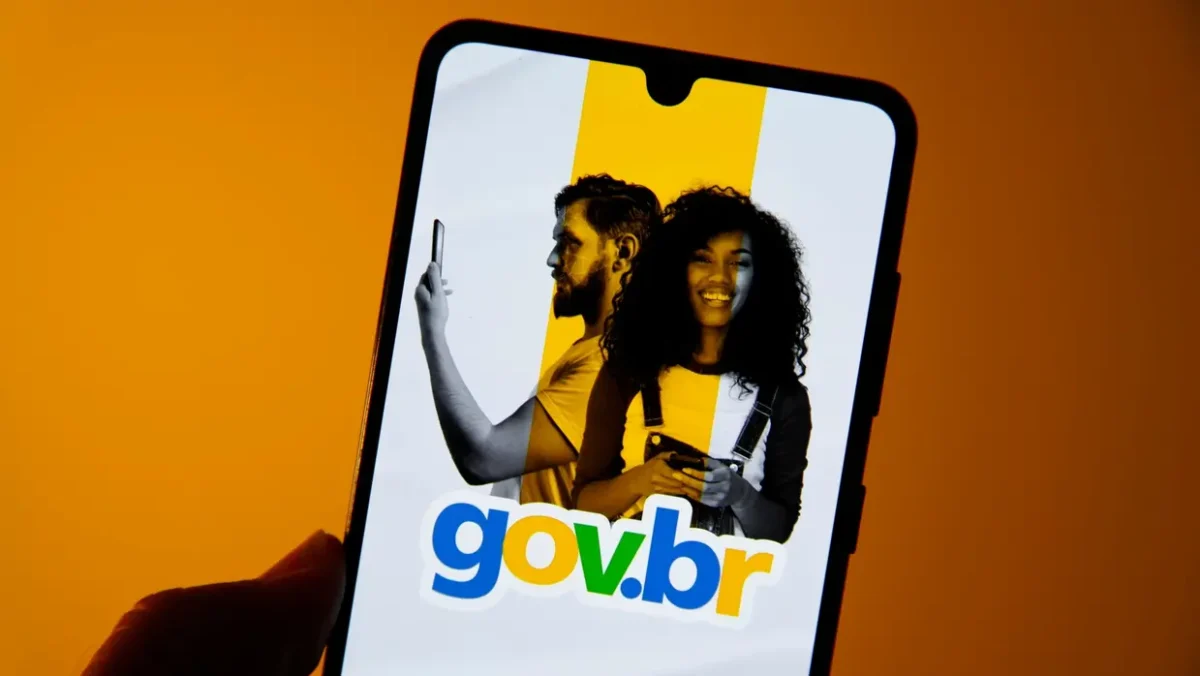 "Precisa da senha do gov para declarar Imposto de Renda? O que fazer se o contador solicitar?  "