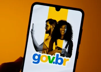 "Precisa da senha do gov para declarar Imposto de Renda? O que fazer se o contador solicitar?  "