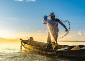 Benefício para pescadores do Brasil começa a ser pago a partir de agora; entenda como funciona
