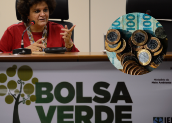 Bolsa Verde é um programa do Governo que ajuda famílias de baixa renda em áreas de preservação ambiental.