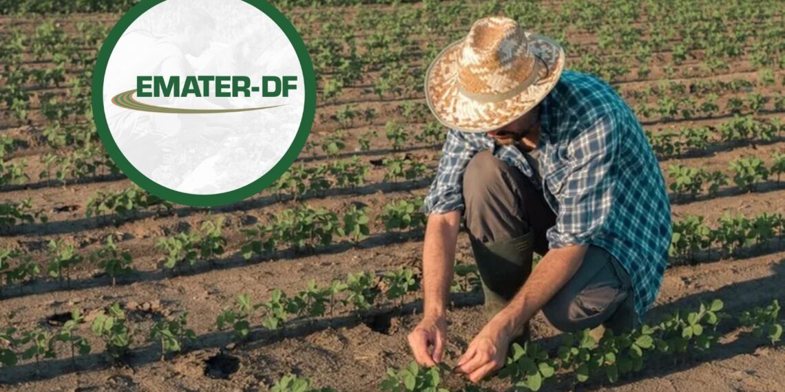 Emater-DF