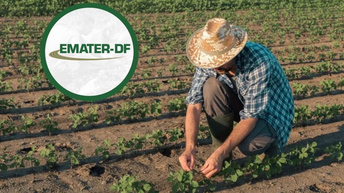 Emater-DF