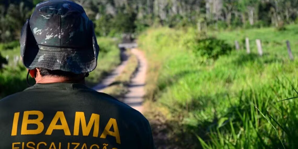 Ibama