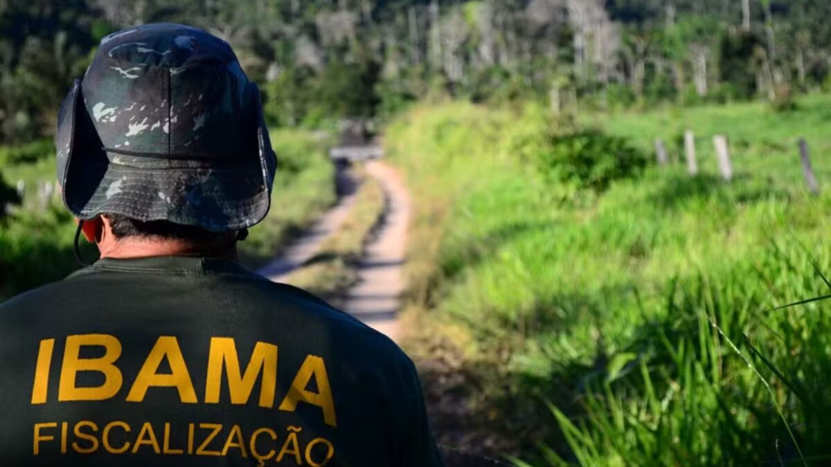 Ibama