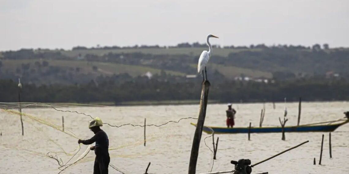 Um pescador que recebe Seguro-Defeso