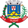 Logo Prefeitura de Muriaé